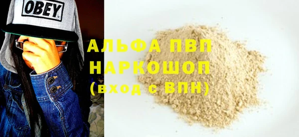 spice Богородицк