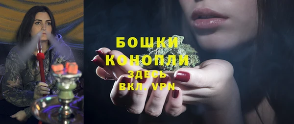 молекула духа Лабытнанги