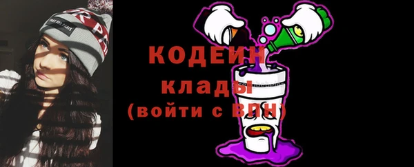 молекула духа Лабытнанги