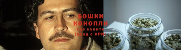 соль ск Лагань
