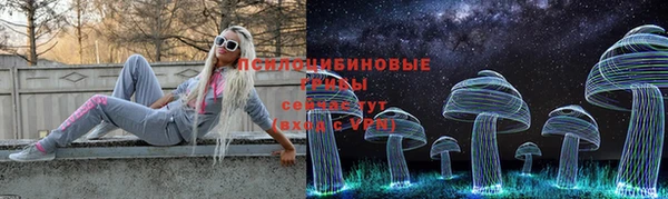 соль ск Лагань