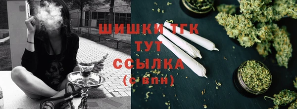 соль ск Лагань